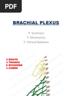 Brachial Plexus: Summary Mnemonics Clinical Relations