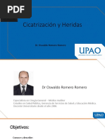 MEHU107 10 Cicatrización y Heridas