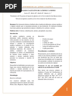 Informe 2-Analisis Cualitativo de Aniones y Cationes