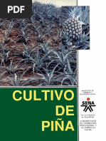 Cultivo de Piña Sena