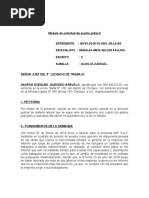 Auxilio Judicial Laboral