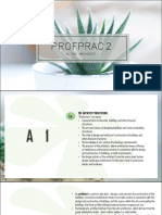 Profprac2: A. The Architect