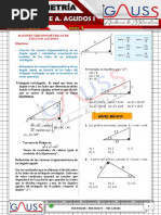 Semana 8 R. T. de Angulos Agudos I