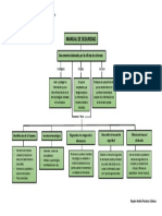 MAPA CONCEPTUAL Manual S.I