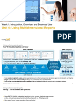 Unit 4: Using Multidimensional Reports: Week 1: Introduction, Overview, and Business User