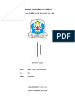 Laporan Identifikasi Potensi