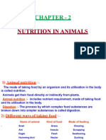 Chapter - 2: Nutrition in Animals