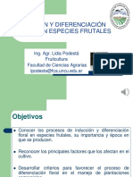 15 Inducción y Diferenciación Floral PDF