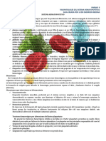 Guia Fisiopatologia Unidad II Hematopoyetico