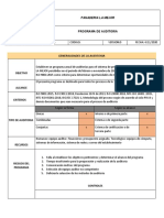 Programa de Auditoria Terminado