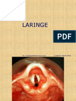 Patologia de La Laringe