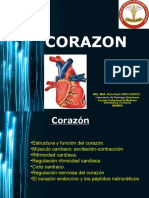 2 Corazon