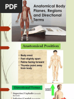 AnaPhyLc - 1.2 Body Planes, Regions and Directional Terms