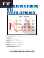 Perfil Lipidico