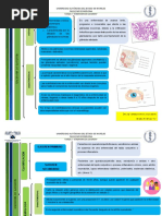 Tarea 7 Síndrome de Sjogren