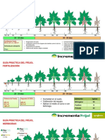 Guia Practica y Portafolio para El Cultivo de Frijol Syngenta Cuba