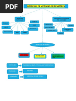 Clasificacion de Victimas