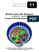 W 2 - EarthandLifeScience - q1 - CLAS2 - CommonRockFormingMinerals