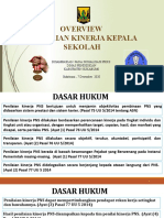 Overview Pkks Revisi