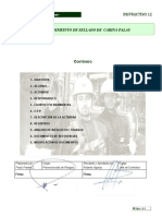 PRO-LINKES-PAYPO-12-Procedimiento de Sellado de Cabina Palas