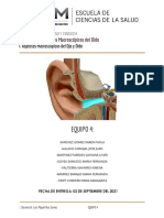 Práctica 4 Sistema Nervioso