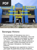 Barangay Poblacion Cabanglasan Bukidnon Profile