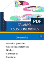 02 El Tálamo y Sus Conexiones