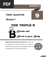 The Triple B: Breath and