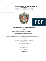 Informe de Practica Pre Profesional