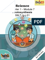 Quarter 1 - Module 7 S9LT-Ig-j-31: Photosynthesis