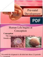 Prenatal Development