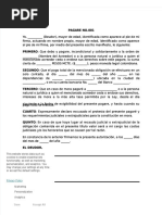 PDF Modelo Pagare y Carta de Instrucciones DD