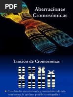 Alteraciones Cromosomicas