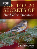 Top 20 Secrets Birdid