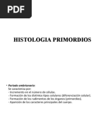 Primordio - Clase 2