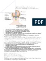 CNS Pathology