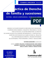 Practica de Derecho de Familia y Sucesiones. 2019. Tomo 1. Claudio Belluscio2