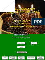 As de Procesos Cafe