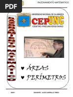 Areas y Perimetros Unc