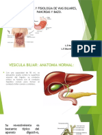 Anatomia y Fisiologia de Vias Biliares, (21203)