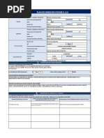 Modelo de Plan de Negocios FOCASE V 5 - 3