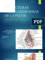 Estructuras Vasculonerviosasde La Pelvis