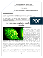 9no. Taller 8. Biología Angélica Segura