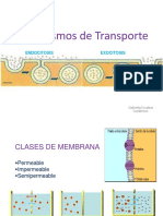 Mecanismo de Transporte Membranal