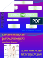 Sistema Endocrino