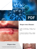 Herpes Vírus