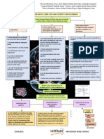 Epilepsia Focal Sintomática