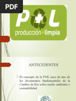 Produccion Mas Limpia