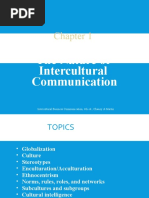 The Nature of Intercultural Communication