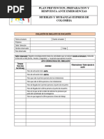 Formato Evaluacion Del Simulacro